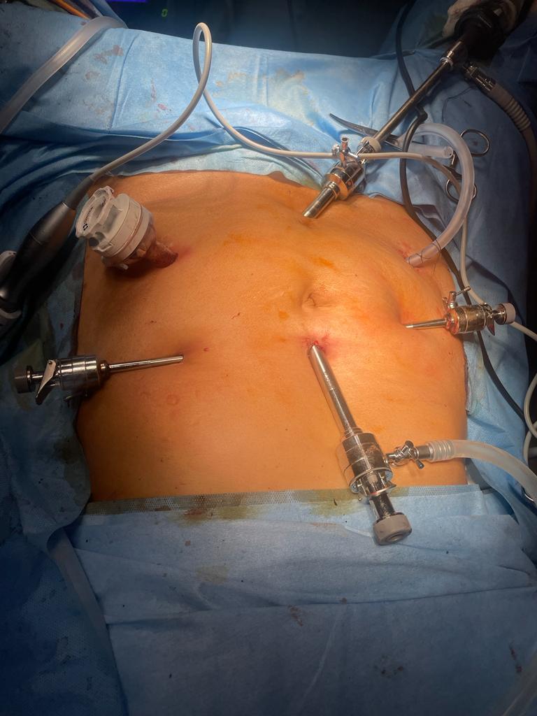 WhatsApp Image 2024-02-01 at 08.51.18